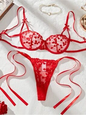 Red Sheer Floral Embroidered Lingerie Set